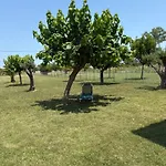 Apartment Sapphire , Beachfront Family For 4 With Private Garden, 1-minute Walk To The Nea Mesagkala