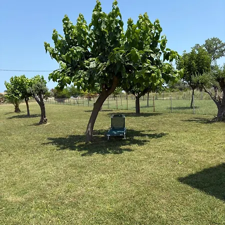 Appartement Sapphire , Beachfront Family For 4 With Private Garden, 1-minute Walk To The Néa Meságkala